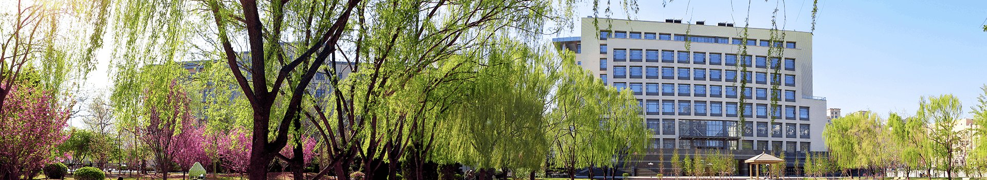 学校召开党委常委会